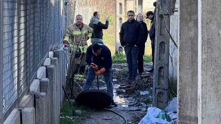 'Rögarda bebek gördüm' iddiası ekipleri harekete geçirdi