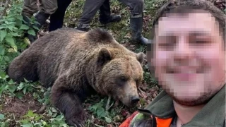 Trabzonluların şikayet ettiği ayı etkisiz hale getirildi