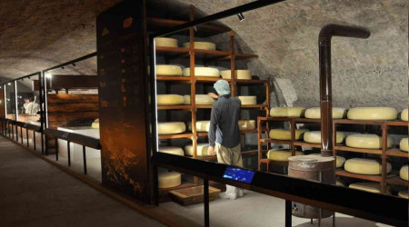 Türkiye'nin ilk Peynir Müzesi Kars'ta