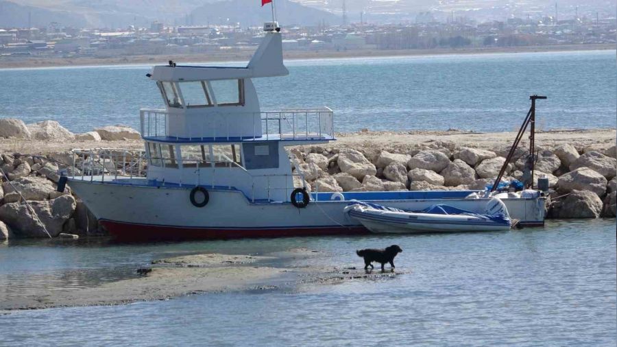 Van Gl seviye kaybediyor: Sahildeki kum adalarnn says artt