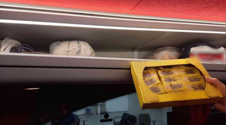 Arılar bile kaçak giriyor