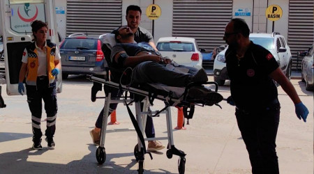 Arılar saldırdı, hastanelik oldu