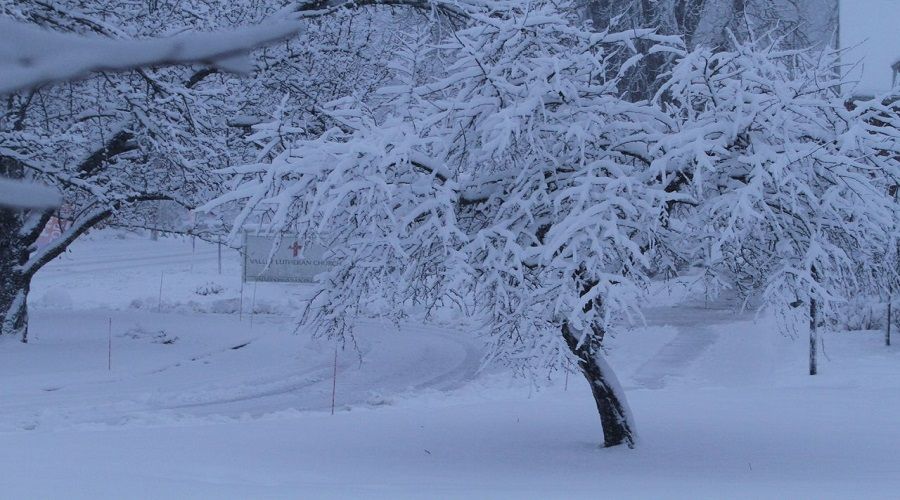 Artvin'deki kar tatili nc gnnde