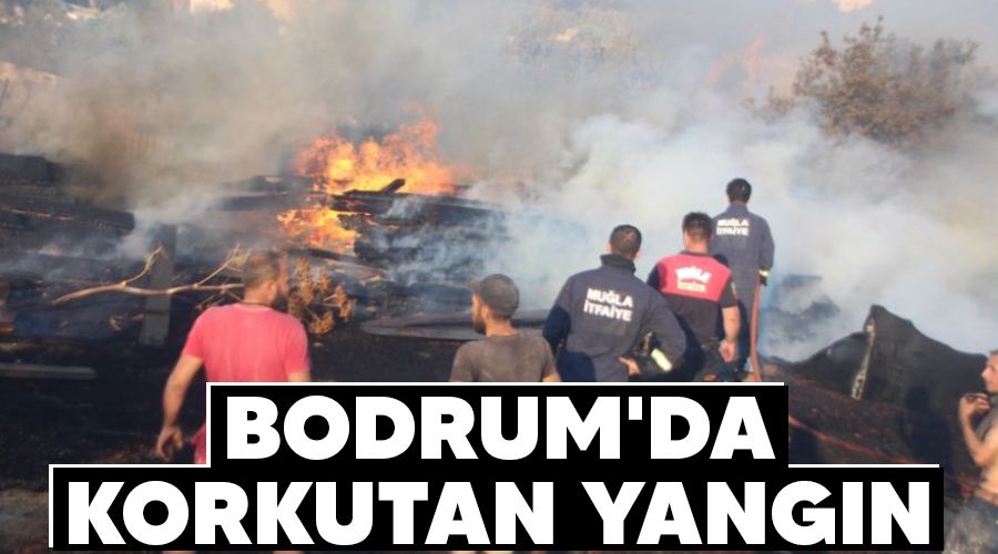 Bodrum'da korkutan yangın