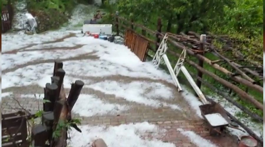 Bursa'da kestane ağaçları doludan zarar gördü