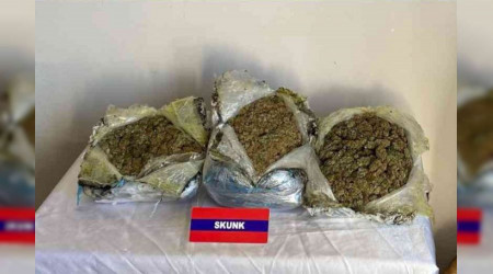 Çantalarında uyuşturucu taşıyan şüpheliler dedektör köpeğe takıldı