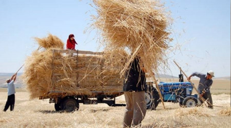 Çiftçinin enflasyonu yüzde 150'ye dayandı