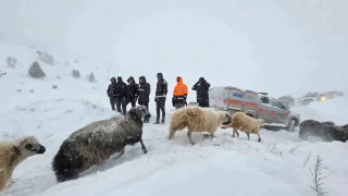 Çığ altında kalan 3 çobandan birinin cansız bedenine ulaşıldı