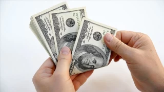 Dolar 42 TL sınırını aştı