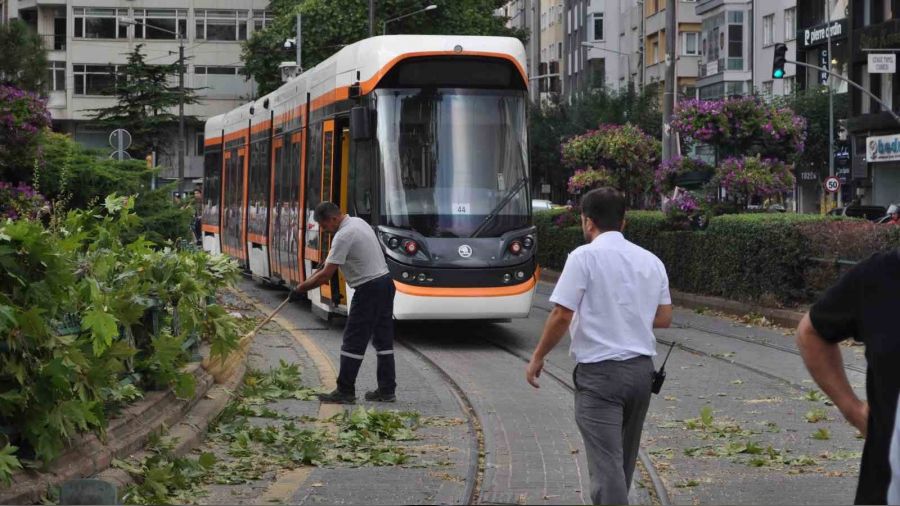 Eskişehir'de rüzgarda kırılan dal tramvay seferlerini aksattı