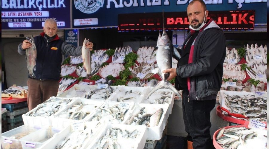 Gastronomi kentinin yeni gözdesi balık