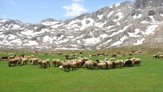 Gündoğmuş’un bereketli toprakları ve tarım