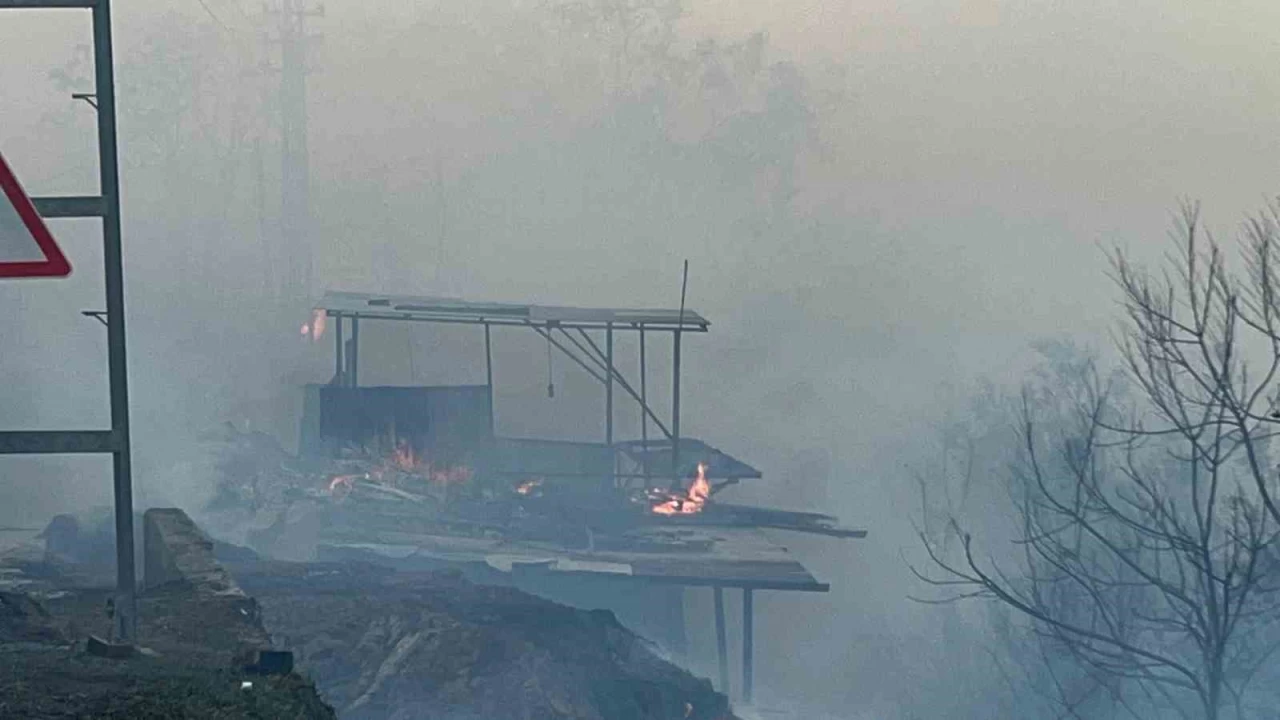 Hatay'da orman yangn kontrol altna alnd