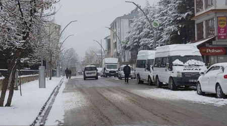 Hozat'ta kuduz karantinası