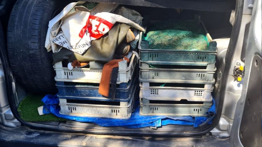 Kaçak kurbağa avcılarına 110 bin TL ceza