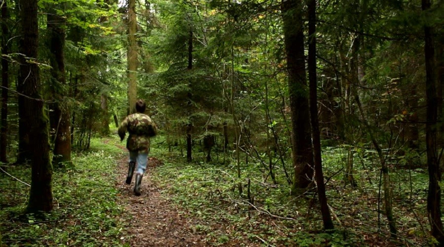 He walk in the forest. Человек в лесу. Убегает в лесу. Убегающий человек в лесу. Сбежать в лес.