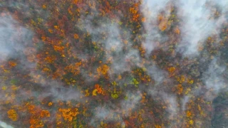 Kocaeli Başiskele'den kartpostallık görüntüler