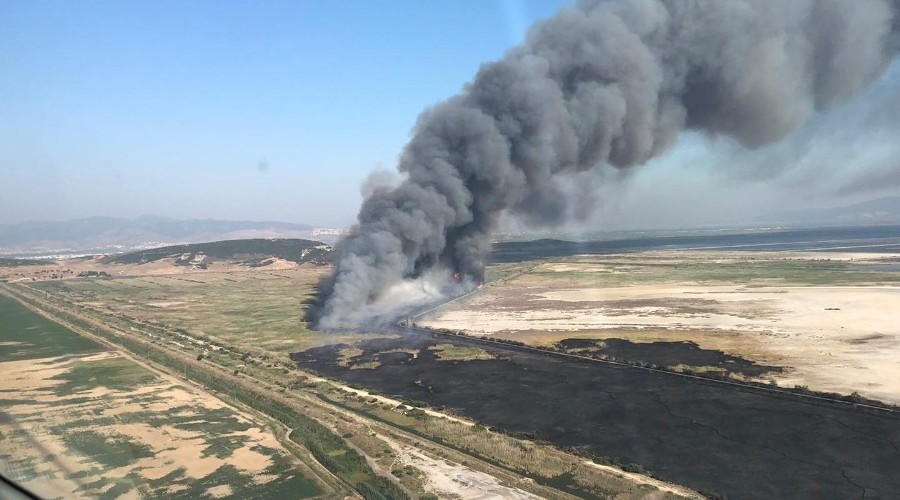 Kuş Cenneti yakınında korkutan yangın