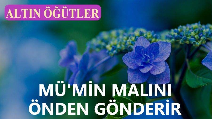 Mmin, maln nden gnderir