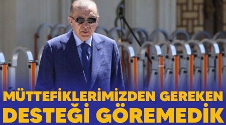 Müttefiklerimizden gereken desteği göremedik