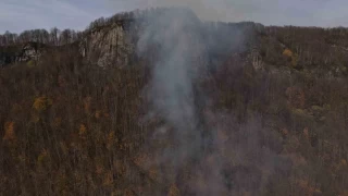 Ordu'daki ormanlık alandaki yangın kontrol altına alındı
