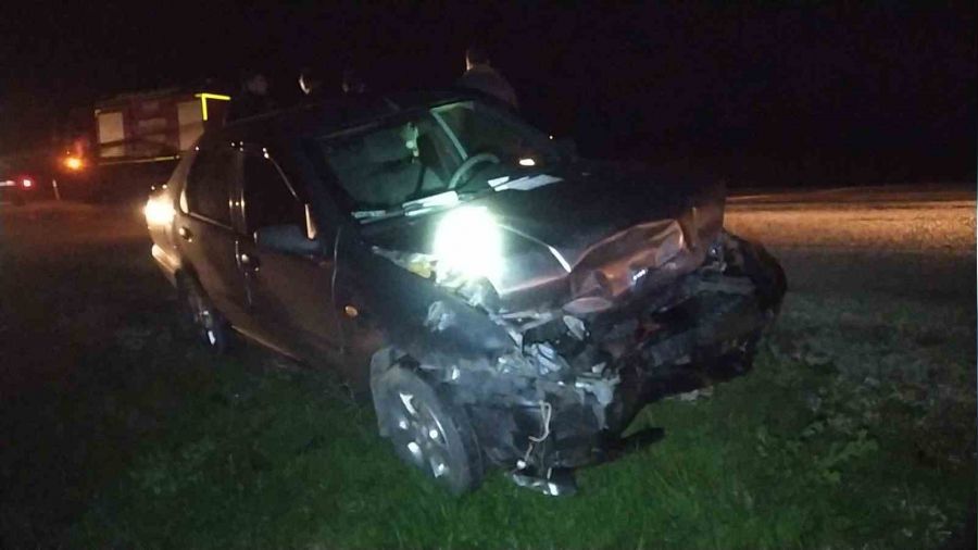 Otomobil domuz sürüsüne daldı