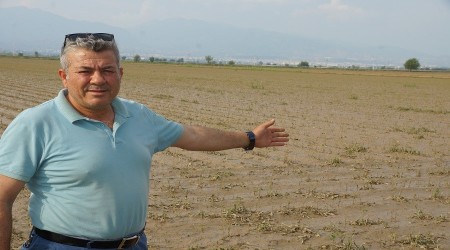 Pamuk'da 10 milyonluk Afet