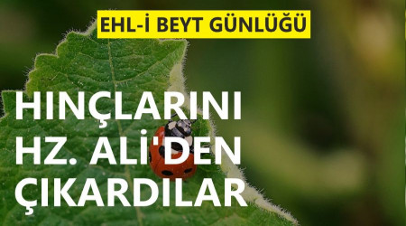 Resûlullah’a olan hınçlarını Hz. Ali’den çıkardılar