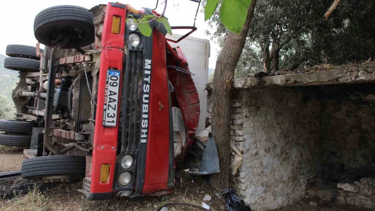 Seyyar pideciyi ölümden zeytin ağacı kurtardı