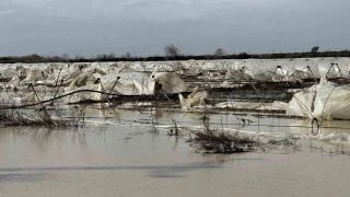 Tarsus'ta yağmur ve fırtına etkili oldu: Seralar zarar gördü