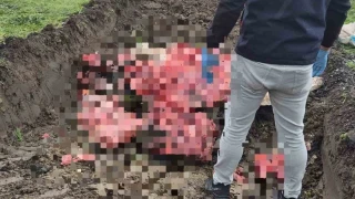 Tekirdağ'da 1 ton menşei belirsiz hayvansal ürün ele geçirildi