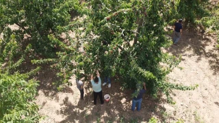 Toroslar’ın bereketli eli: Saimbeyli