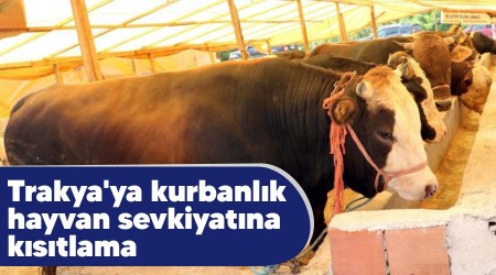 Trakya'ya kurbanlk hayvan sevkiyatna kstlama