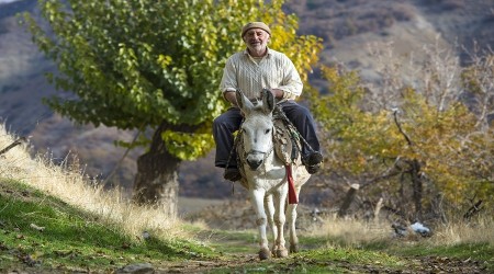 Tunceli Pertek'in muhteem doasnda geen zorlu hayatlar