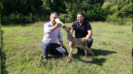 Yaban hayat onlardan soruluyor