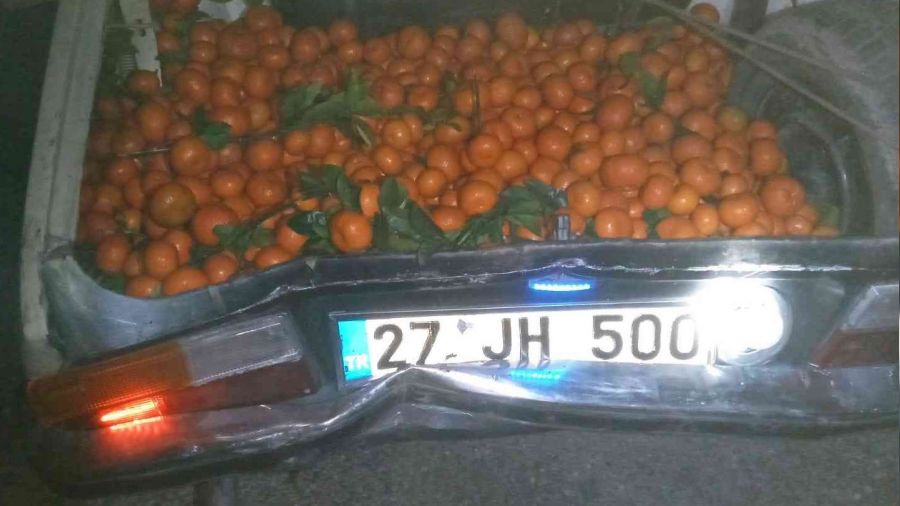 Yakalanacaklarını anlayınca narenciyelerle dolu araçlarını bırakıp kaçtılar