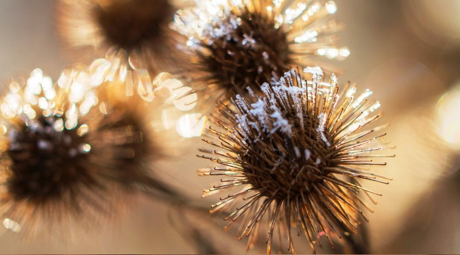 Yanlışın ve günahın ortağı olma!