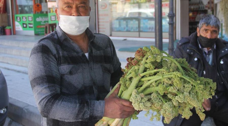 Yayla Muzu tezghlardaki yerini ald 