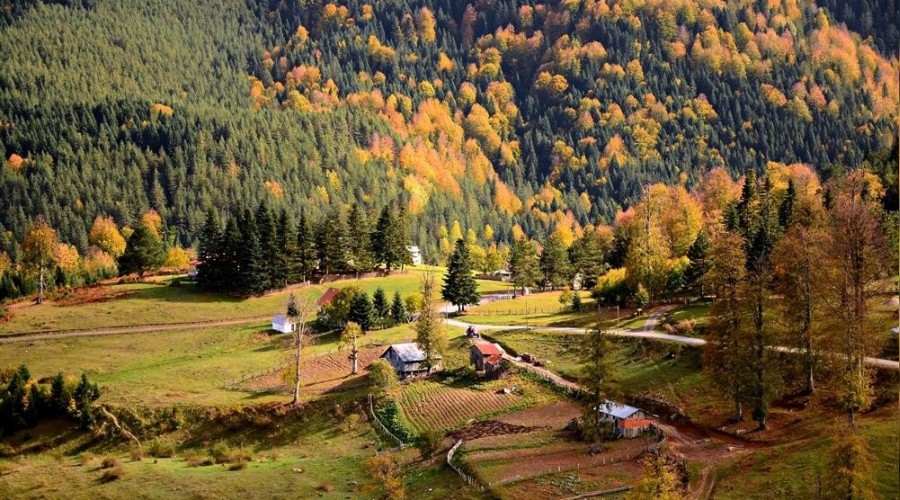 Yaylalar, fotoğraf tutkunlarını bekliyor