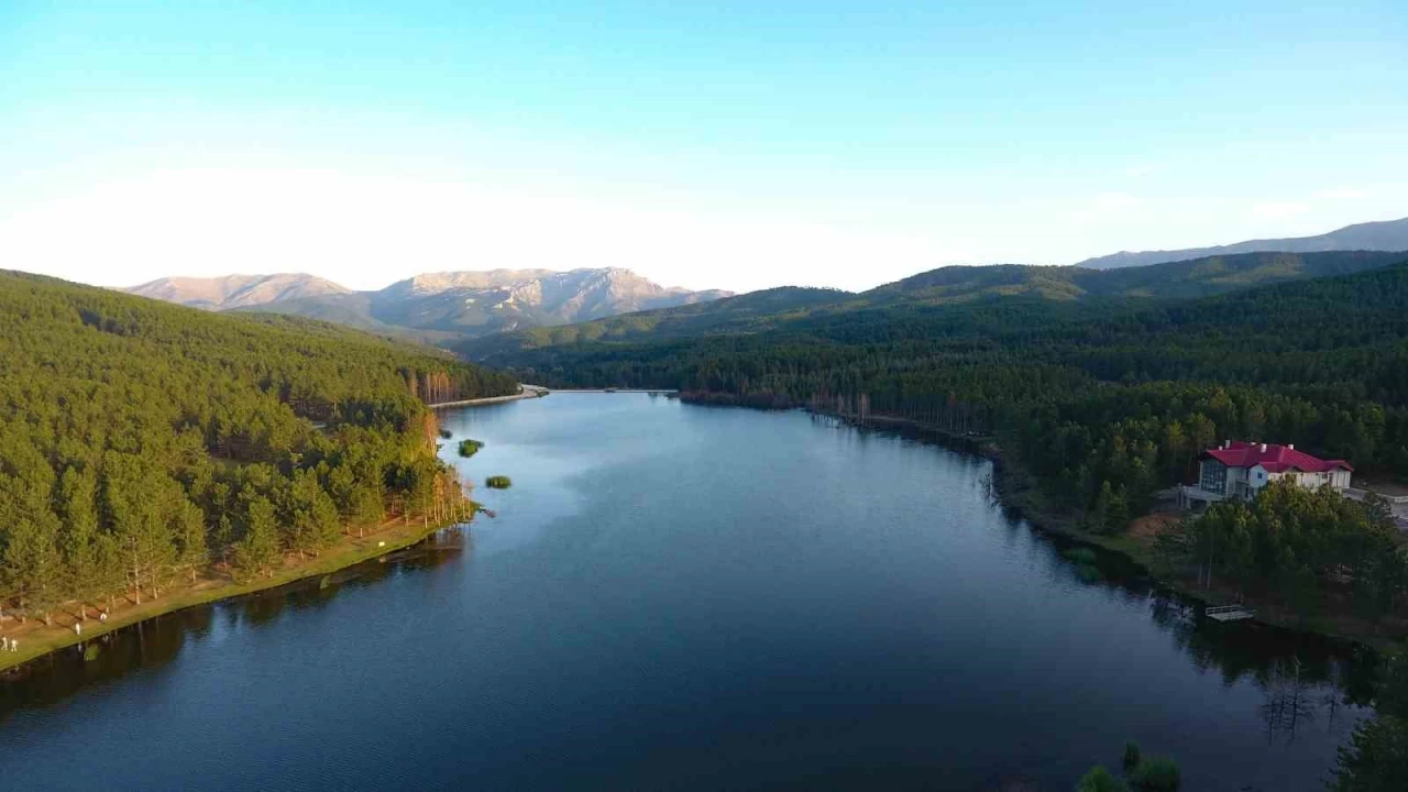 813 hektarlık 24 adet bal ormanı arıcılara tahsis edildi