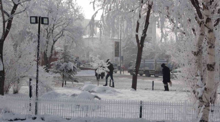 Ardahan buz kesti, havaya serpilen sıcak su bile dondu