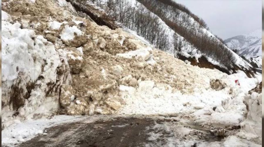 Bingöl'de çığ karayolunu kapattı