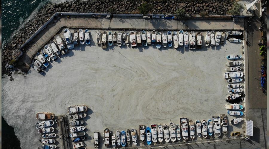 Çanakkale Boğazı'nda müsilaj kabusu sürüyor