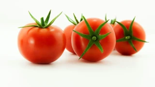 Domates üretimine bilimsel destek