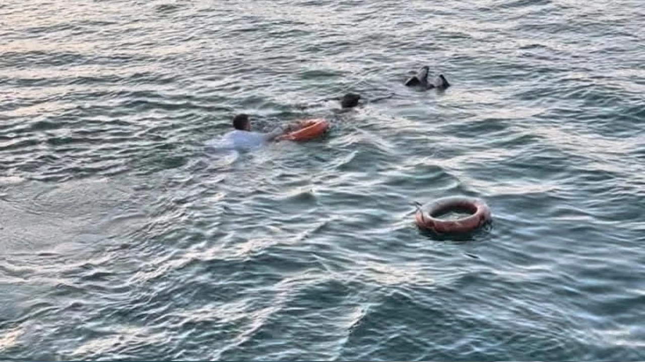 Feribottan suya düşen kadın kurtarıldı