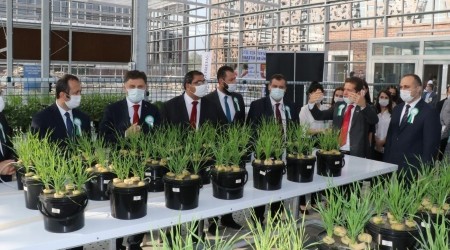 GÜBRETAŞ-GTÜ işbirliğiyle Ar-Ge serası