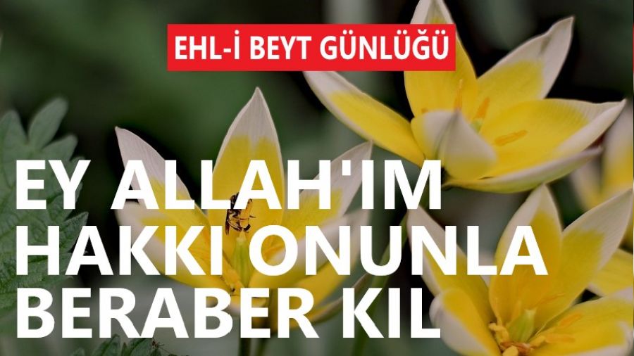 ‘Hakkı onunla beraber kıl’