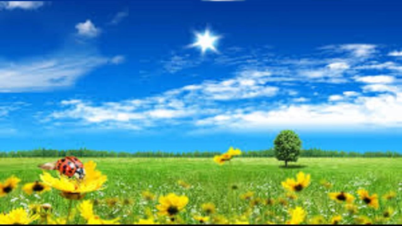 İmam Rıza’nın imamlığı fiilen üstlenmeden önceki rolü