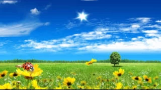 İmam Rıza’nın imamlığı fiilen üstlenmeden önceki rolü