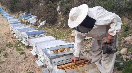 Konyalı arıcıların zorlu mesaisi